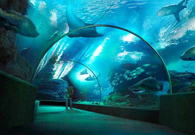 UNDERWATER WORLD PATTAYA